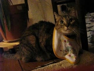 Minouche et le bavoir hallucinogène