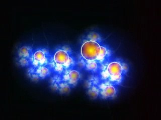 Abraham Hicks 2015  How you feel is what matters