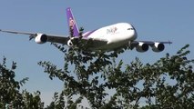 Windshear!Landing!Thai Airways International　Airbus A380（HS-TUF)