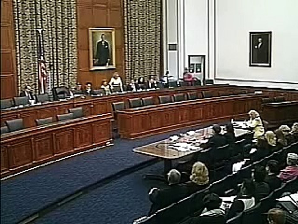 Electronic Voting Hearing: "Voter Fraud" and Voter ID