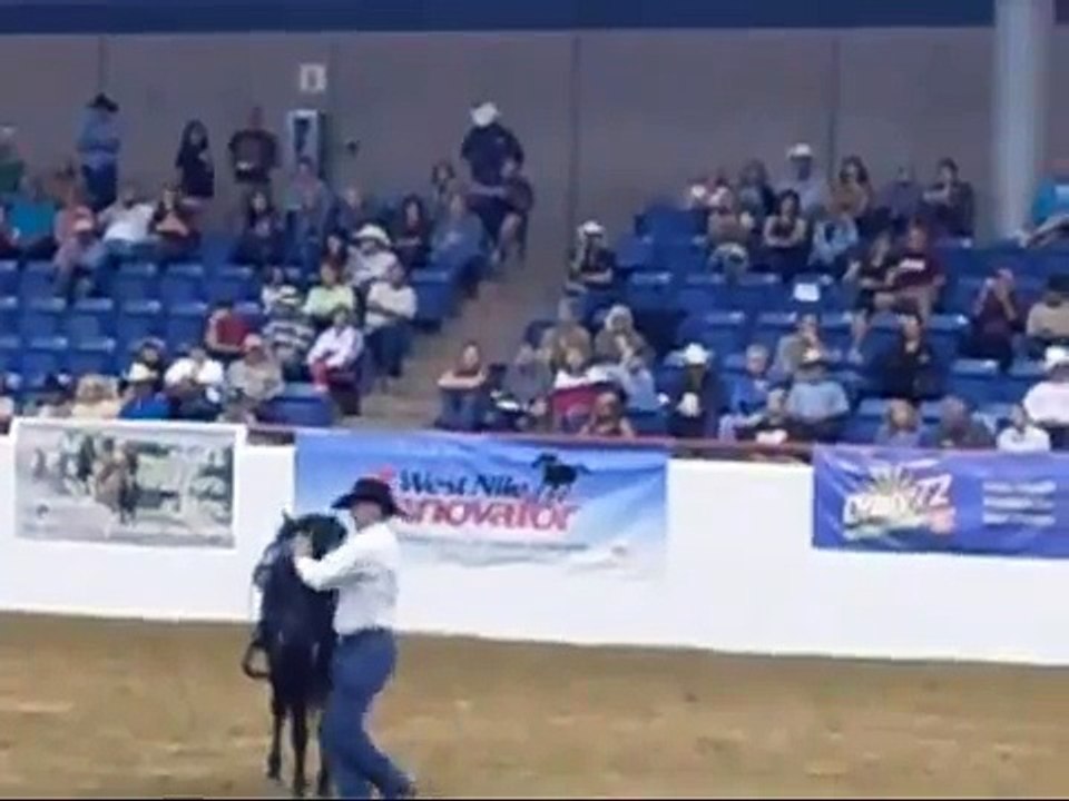 HorseTenders Extreme Mustang Makeover Blindfolded lead changes and ski