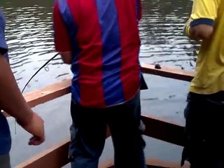 Ikan Patin Shah Alam 3.1kg