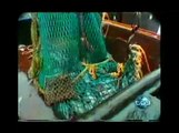 Tg3 - Mega-sequestro di pesce della Guardia Costiera