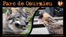 Parc de Courzieu : loups et rapaces en liberté. Animaux sauvages, non ! Wolves