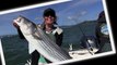 Halibut and Striped Bass fishing in the San Francisco Bay with Captain Jason of Longfin Sport Fishing