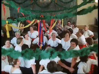 TRNKY BRNKY ....Slunce,seno,jahody