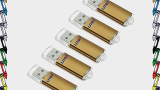 Litop Metal Body USB Flash Drive USB 2.0 Memory Disk (32GB 5 PCS Gold Color)