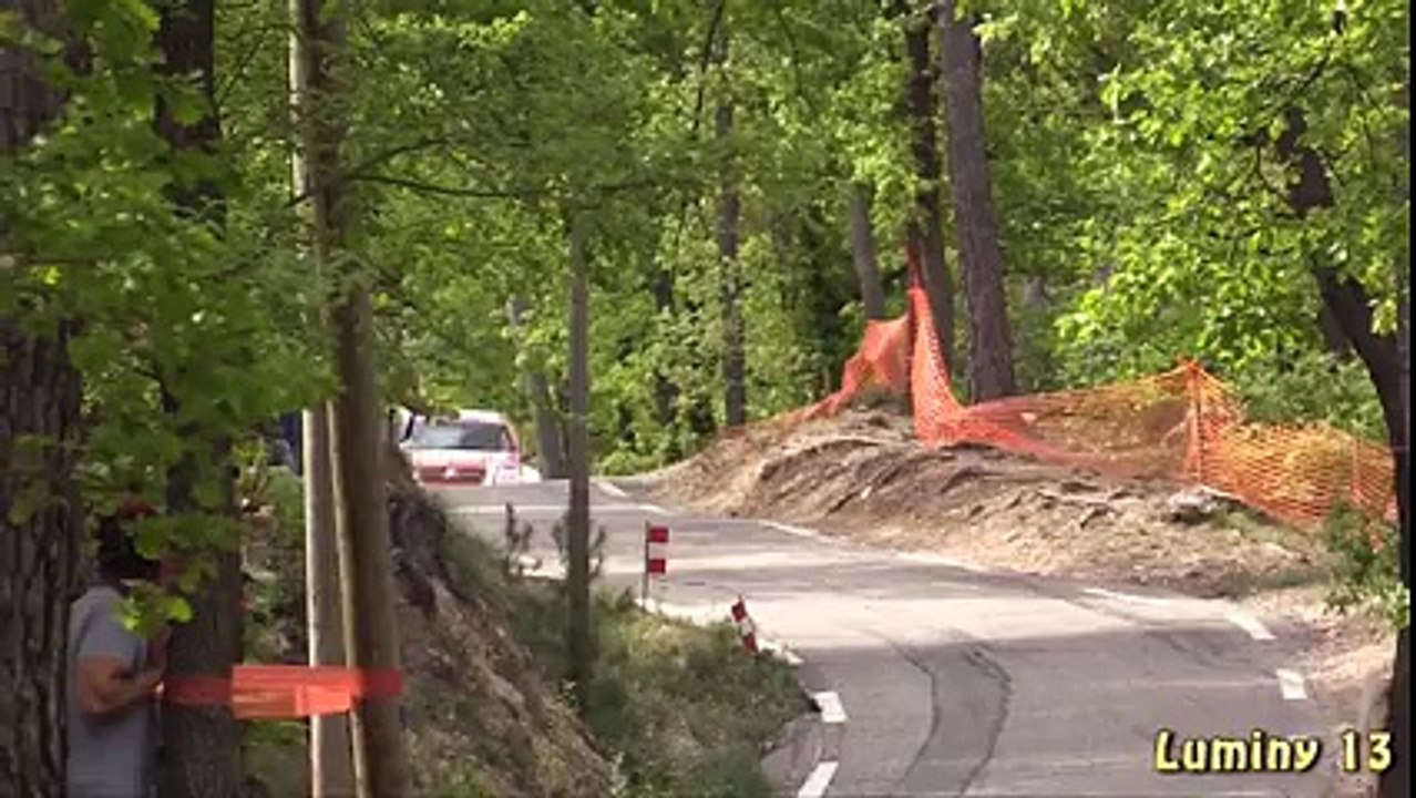 Rally Car Crash