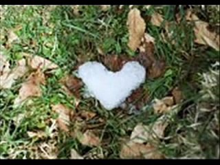 Pra Sempre - Limão com Mel