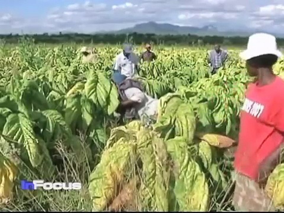 Zimbabwe Farmers