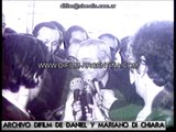 ARCHIVO DIFILM DECLARACIONES DE RICARDO BALBIN