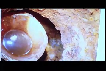 Homeless Home Owners