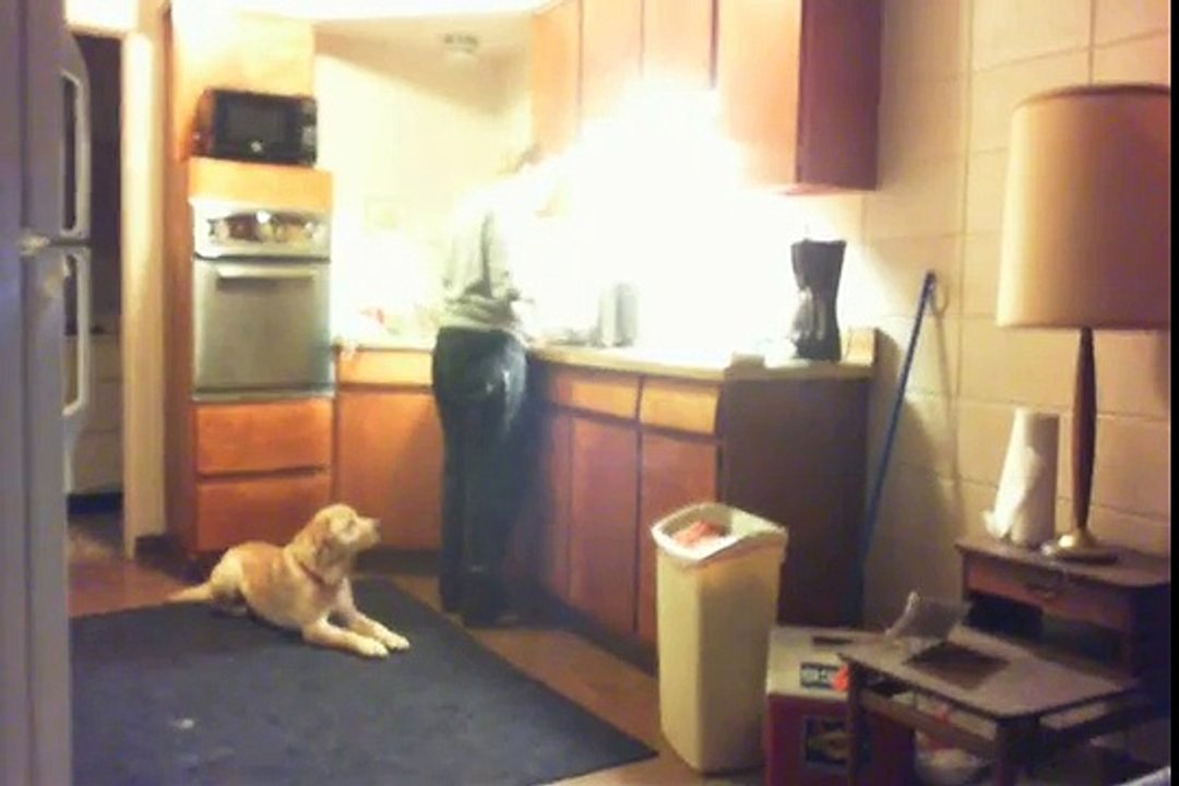Buddy's Video.wmv