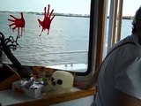 BayWatch Dolphin Tours: Captain Michael's Video