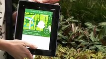 Glasgow City Council launches Green Year app