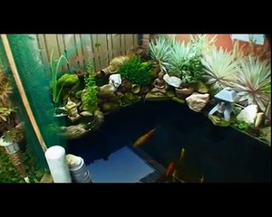 Koivijver Dick uit Zoetermeer-deel1-www.koikenner.nl