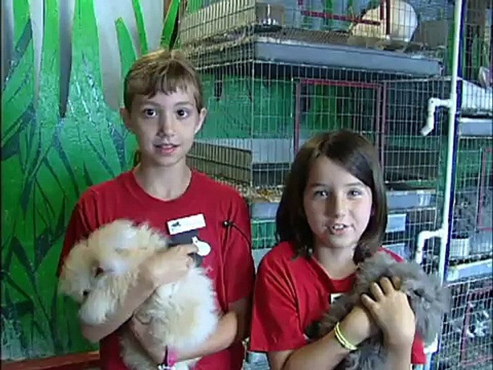 Catching Up with the Critter Barn