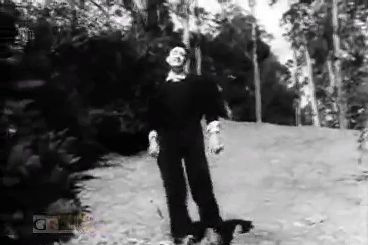 MOHAMMAD RAFI - Khoya Khoya Chand Khula Aasman - KALA BAZAAR