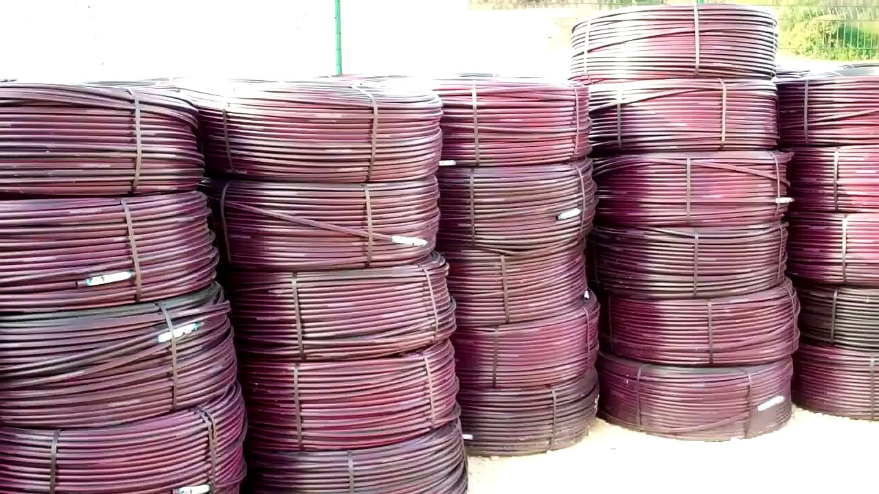 NETAFIM irrigation goutte à goutte vigne