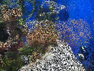 Fish-Dreams in the SeaLife Speyer - Tunnel,  Pool and more...