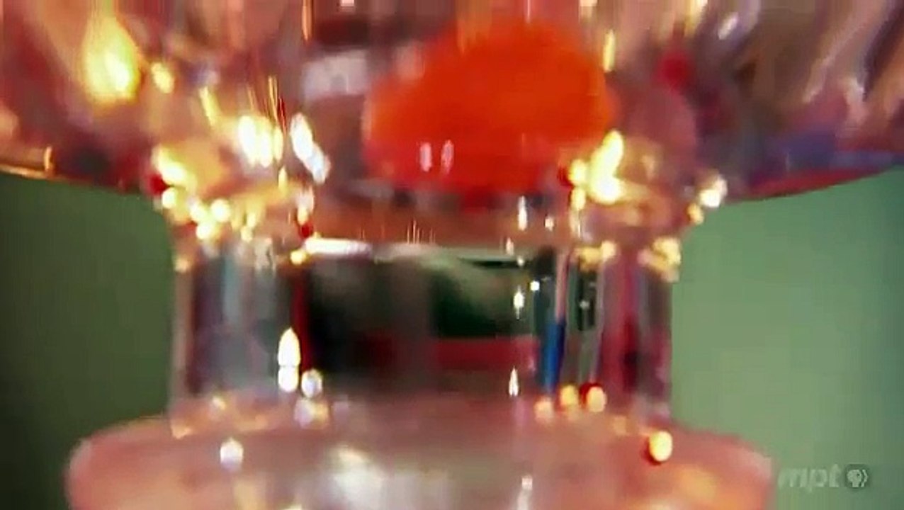 PBS Nova - Artificial Organ Regrowth a Reality