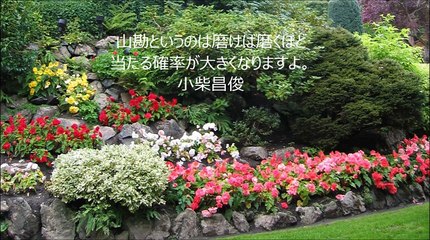 長谷川桜子（慣らし保育アドバイザー）～子どもに読み聞かせたい言葉「小柴昌俊」