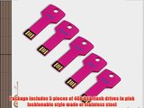 Litop? Pack of 5 Hot Pink 4GB Metal Key Shape USB Flash Drive USB 2.0 Memory Disk With 5 Protective