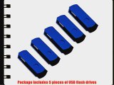 Litop 1GB Pack of 5 Blue Digital Data Storage Traveler USB 2.0 Flash Drive Swivel Design with