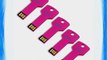 Litop? 2GB Pack of 5 Hot Pink Metal Key Shape USB Flash Drive USB 2.0 Memory Disk With 5 Protective