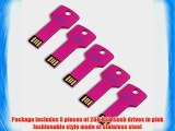 Litop? 2GB Pack of 5 Hot Pink Metal Key Shape USB Flash Drive USB 2.0 Memory Disk With 5 Protective