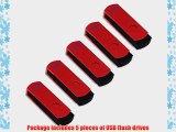 Litop 2GB Pack of Red 5 Digital Data Storage Traveler USB 2.0 Flash Drive Swivel Design with