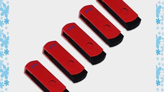 Litop 2GB Pack of Red 5 Digital Data Storage Traveler USB 2.0 Flash Drive Swivel Design with