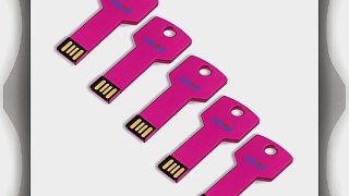 Litop? 5PCS 32GB Metal Key Shape USB Flash Drive USB 2.0 Memory Disk With 5 Protective Cases