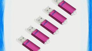 Litop Pack of 5 Hot Pink 2GB Metal Body USB Flash Drive USB 2.0 Memory Disk Multipack with