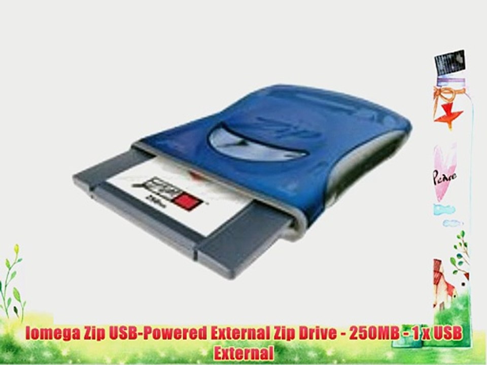 Iomega Zip USB-Powered External Zip Drive - 250MB - 1 x USB External