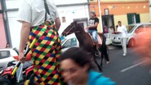 Arrelanda - Desfile de Gado no Império da Santíssima Trindade - São Roque - Madalena