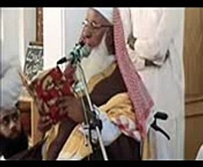 Allama Ahmad Saeed Khan