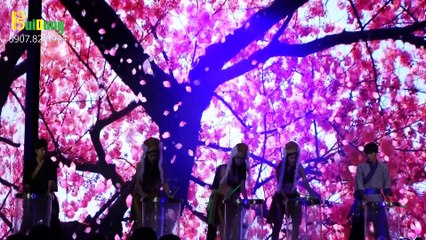 Cung cấp nhóm múa trống nước biểu diễn sự kiện toàn quốc