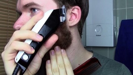 Bart-Trimmen leicht gemacht! Übergänge richtig schneiden