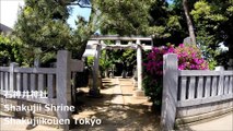 石神井神社 石神井公園 东京/ Shakujii Shrine Shakujiikouen Tokyo/샤 쿠지이 공원 도쿄