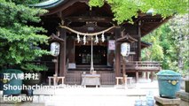 正八幡神社 江戸川 东京/ Shouhachiman Shrine Edogawa Tokyo / 긍정적 인 하치만 신사에도가와 도쿄