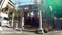 妻恋神社 秋葉原 东京/ Tsumakoi Shrine Akihabara Tokyo / 아내 사랑 신사 아키하바라 도쿄