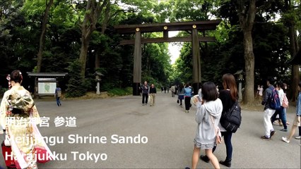 明治神宮 参道 原宿 东京 / Meiji Jingu Shrine Sando Harajuku Tokyo / 메이지 신궁 참배 하라주쿠 도쿄