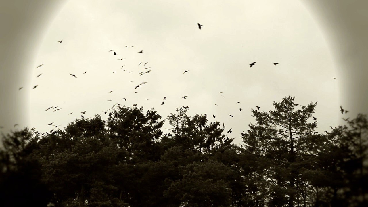 Celtic Dreams - DM Kruger - Astral Kings