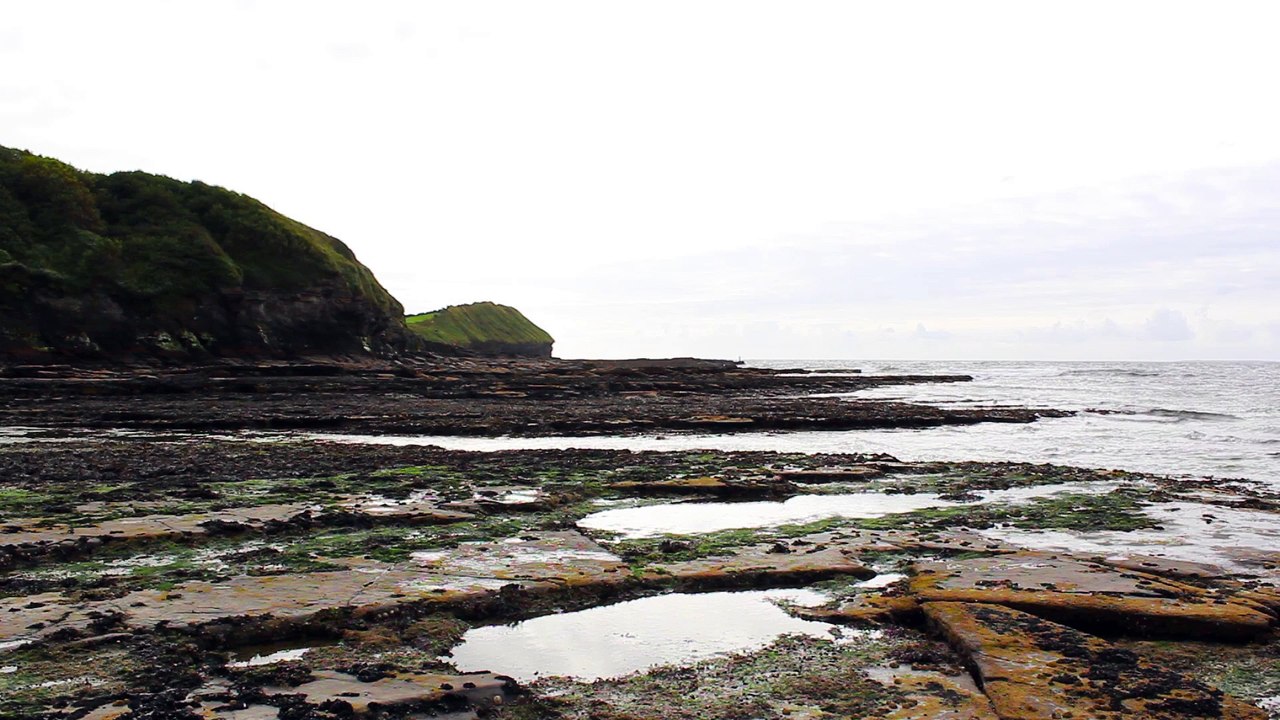 Celtic Dreams - DM Kruger - Fields For Fauna