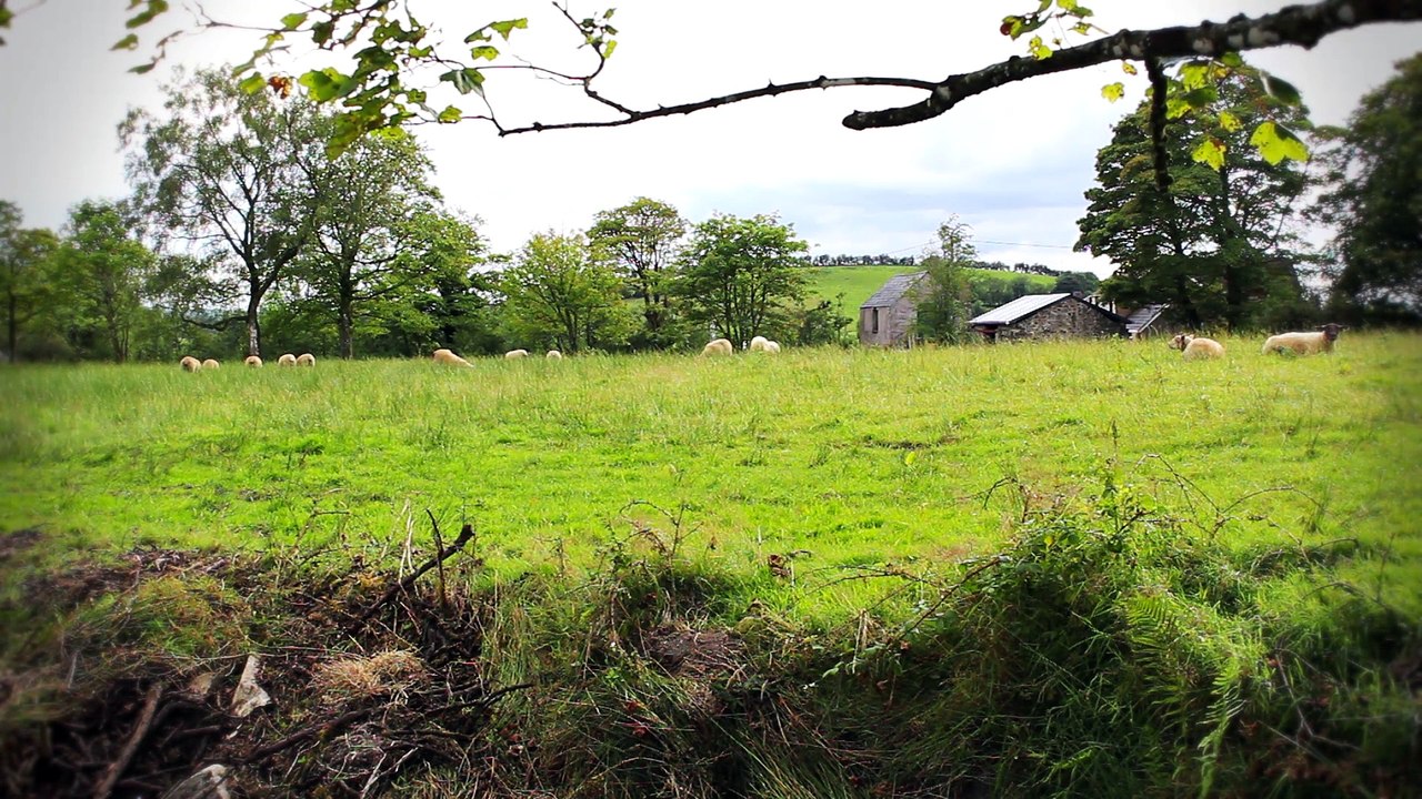 Celtic Dreams - DM Kruger - Fireside Story