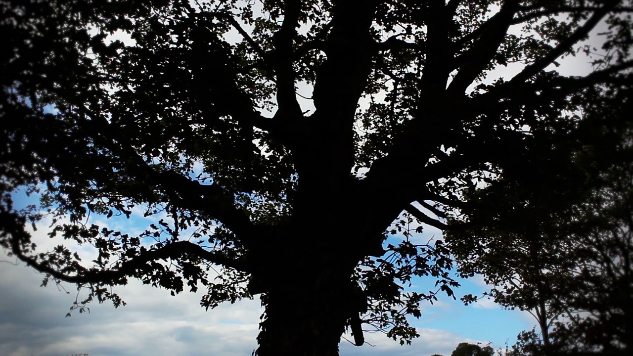 Celtic Dreams - DM Kruger - Journey