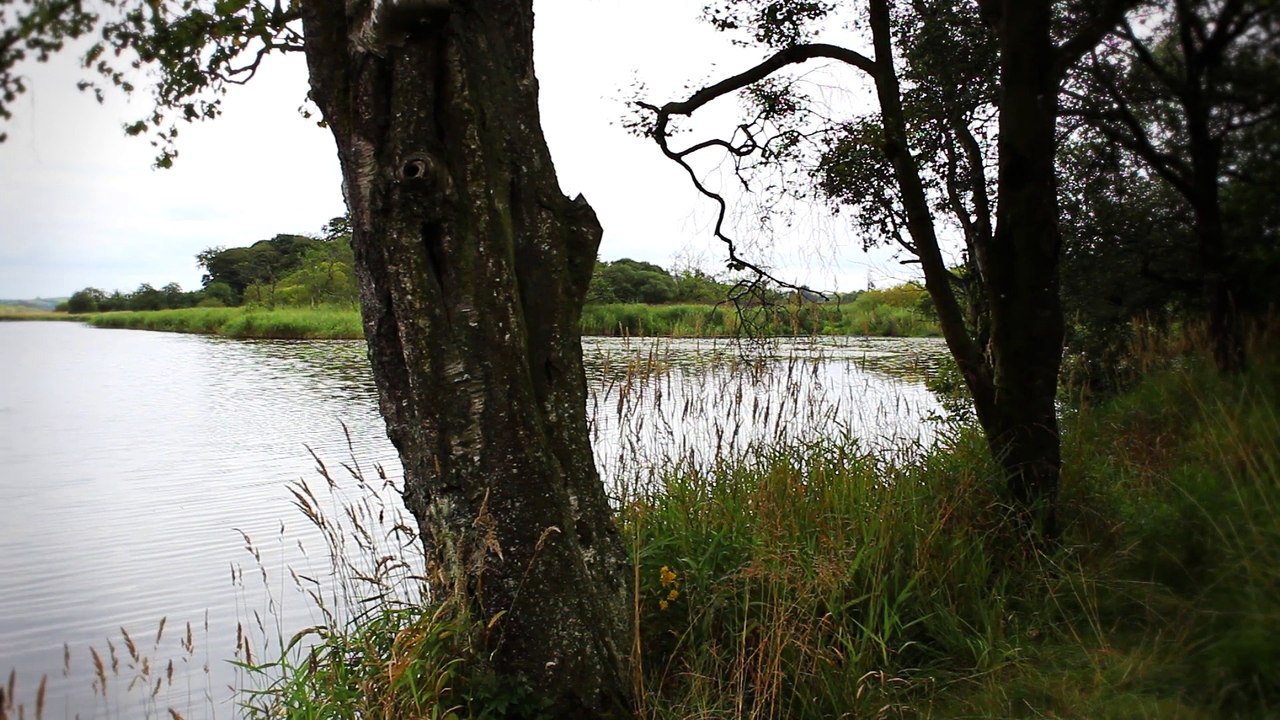 Celtic Dreams - DM Kruger - Night Life