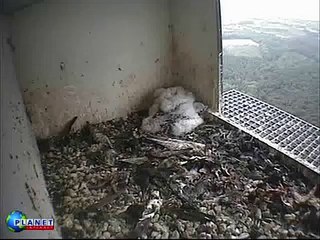 9 mei komisch 16.37 uur- 17.07 uur