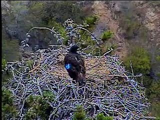 Dad & Mom - Together Again!